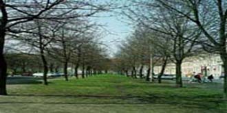 CLICK !  Und so sah es hier fr&uuml;her aus!